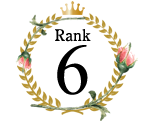 ランキング6位