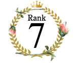 ランキング7位