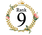ランキング9位